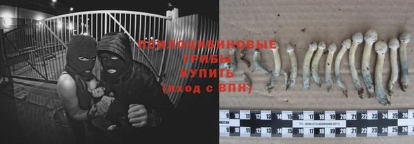 мяу мяу мука Алексеевка