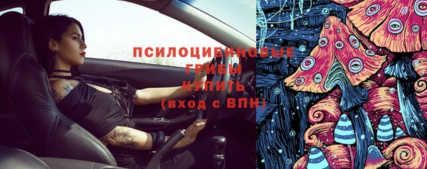прущий лед Алексин